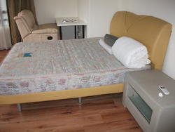 Cairnhill Heights (Enbloc) (D9), Apartment #145108082